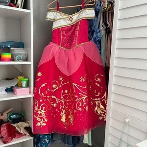 Aurora costume (Sleeping Beauty)